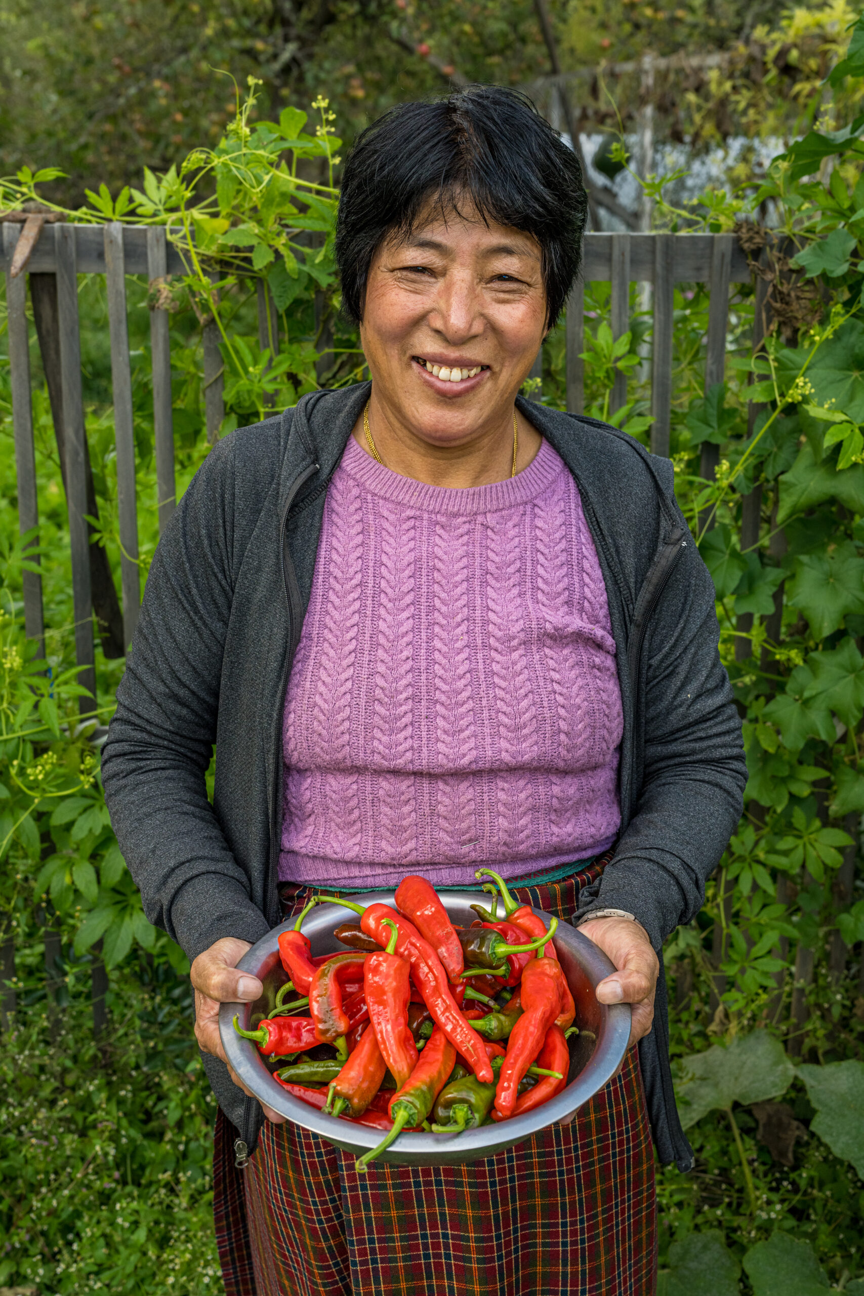 Chillies