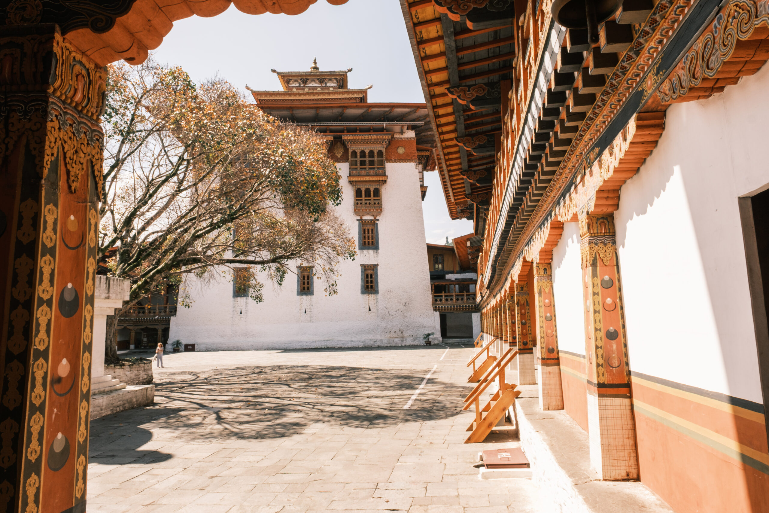 Historic dzongs