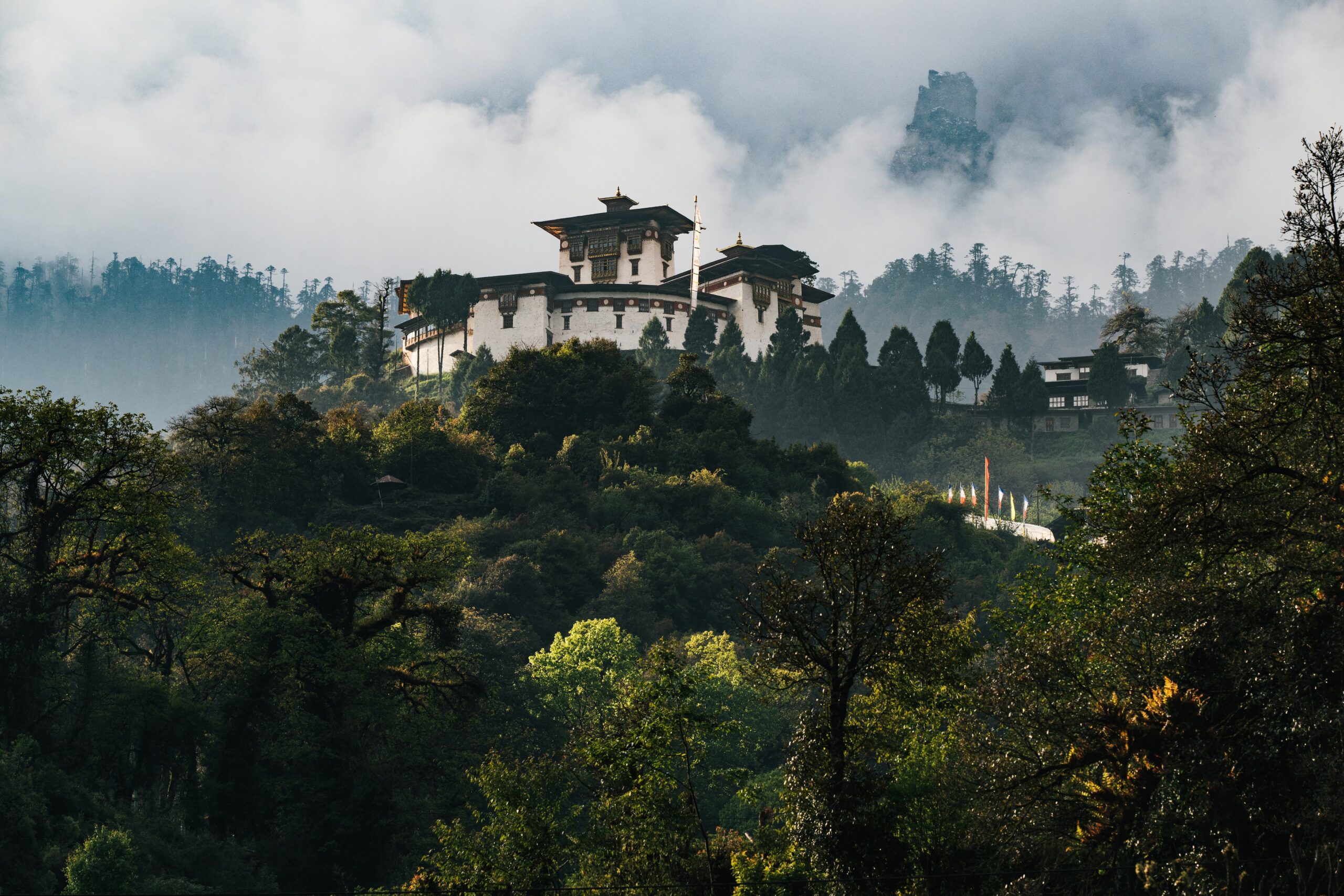 Dzongs