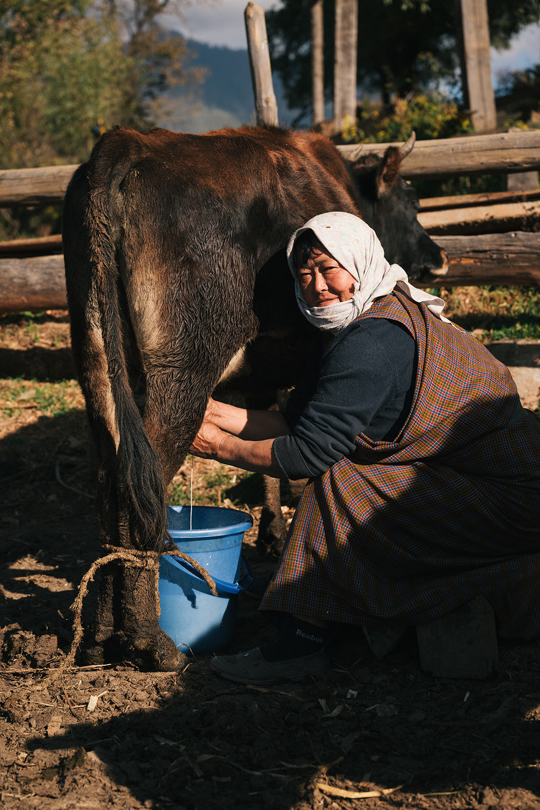Farm visits