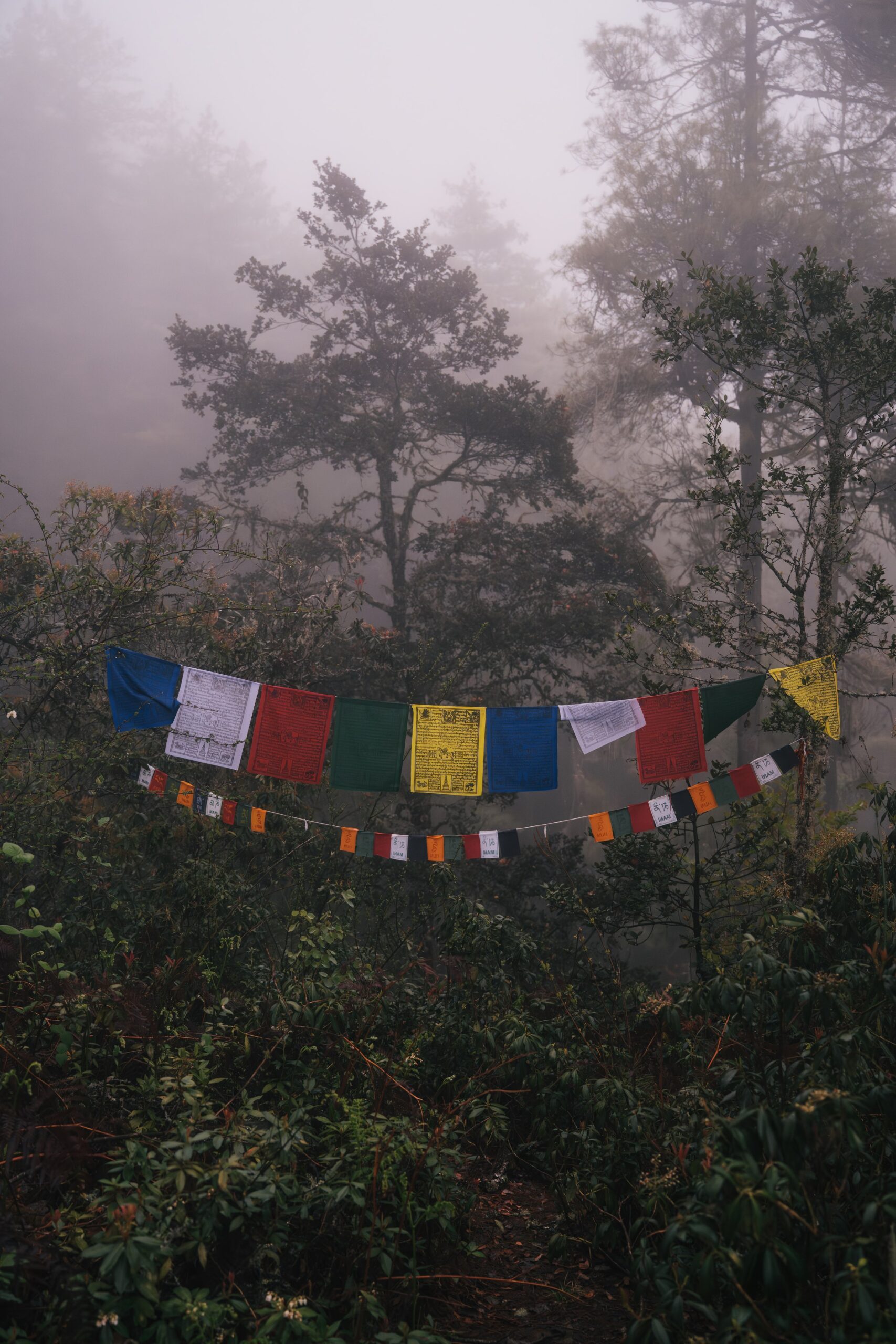 Prayer flags