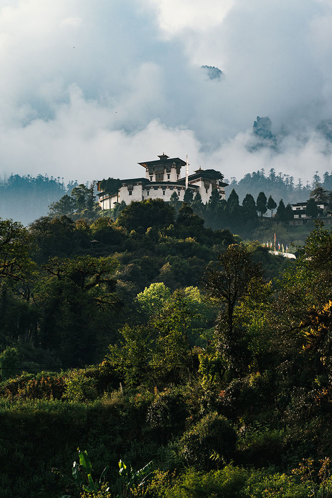 Sustainability & Nature
