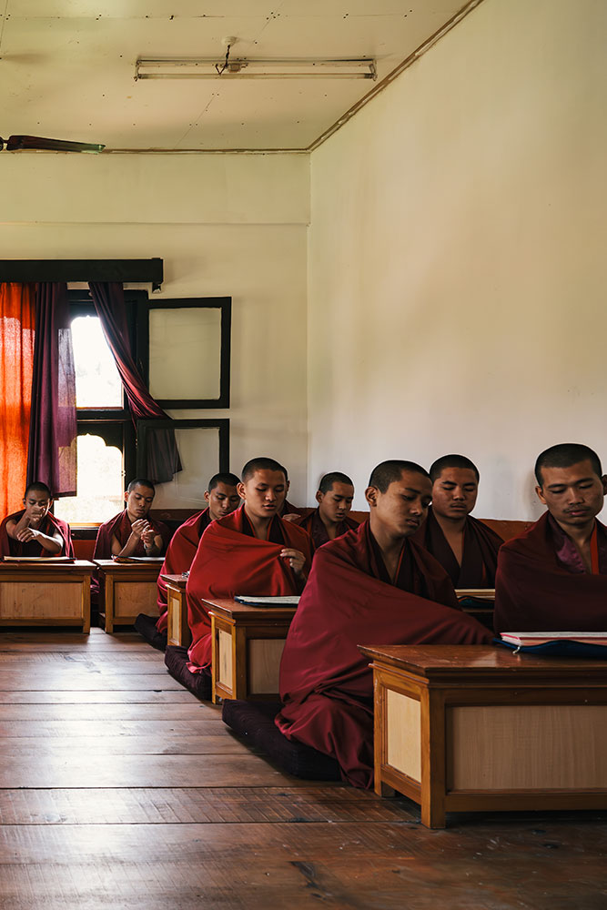 Youth & Education